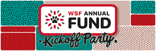 AF Kickoff Party